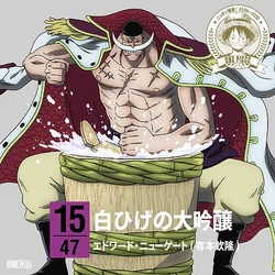Category One Piece Nippon Judan 47 Cruise Cd One Piece Wiki Fandom