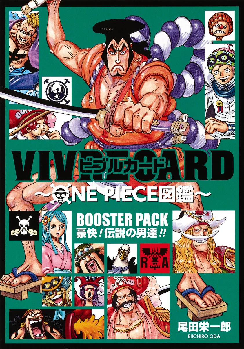 Databooks One Piece Vivre Card One Piece Visual Dictionary One Piece Encyclopedie Fandom