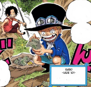 Sabo 10 age.png