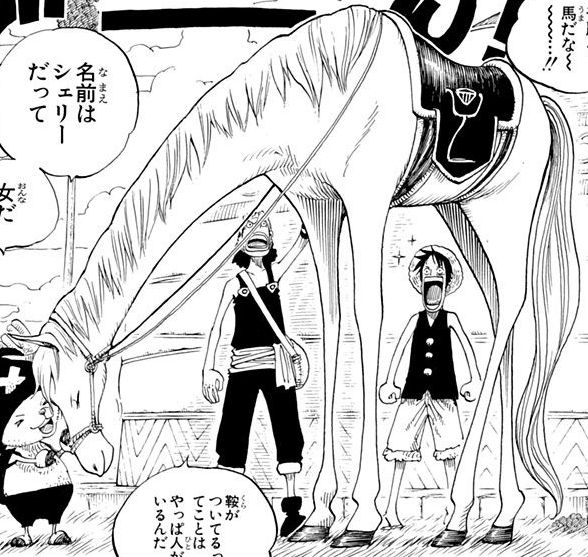 Shelly One Piece Wiki Fandom Shelly One Piece Wiki Fandom