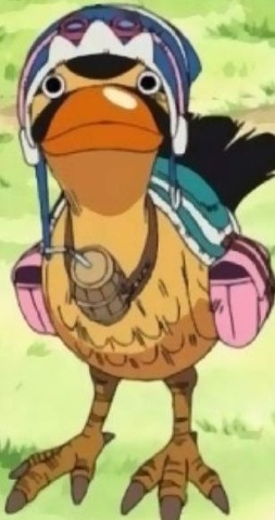 Karoo, One Piece Wiki, Fandom
