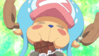 Tony Tony Chopper/Misc., One Piece Wiki