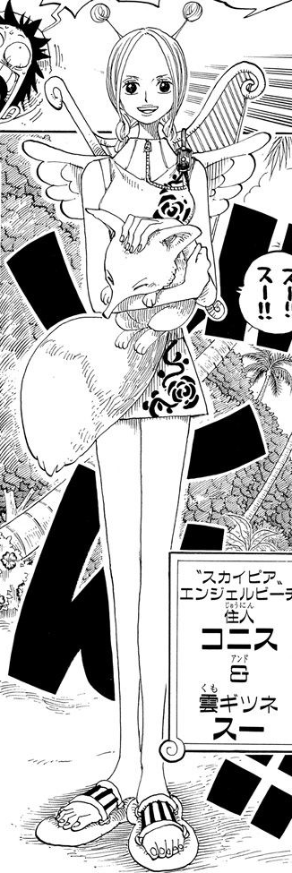 Conis One Piece Wiki Fandom