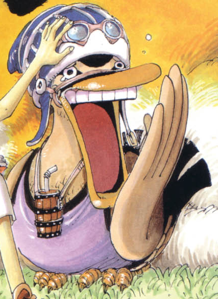 Karoo One Piece Wiki Fandom