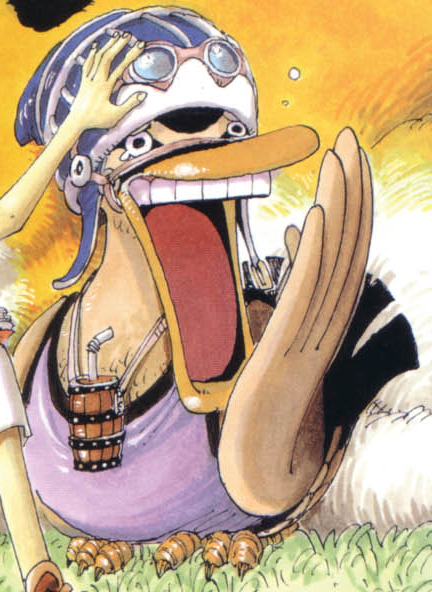 Karoo, One Piece Wiki, Fandom