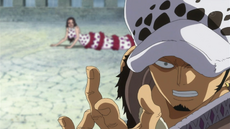 Law intercambia a Luffy por Viola