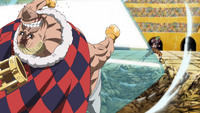 Barrier Barrier Fruit - Bari Bari No Mi - One Piece Devil Fruit 