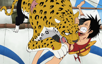 Neko Neko no Mi, Modelo: Leopardo, One Piece Wiki