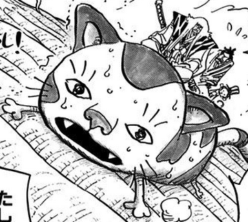 Nekozaemon | One Piece Wiki | Fandom