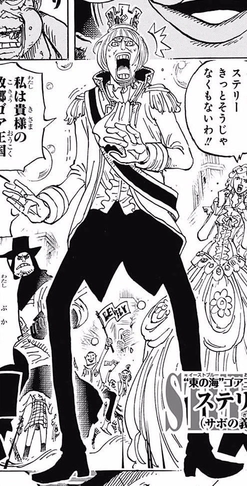 Sterri One Piece Wiki Fandom