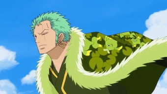 Wake Up One Piece Encyclopedie Fandom