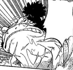 Yokodzuna One Piece Wiki Fandom