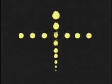 Las frutas del diablo descritas por Morgan.