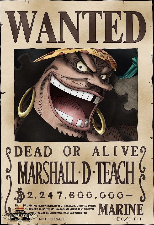 one piece blackbeard wanted