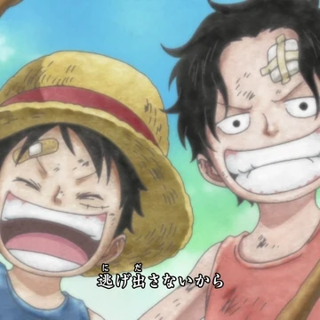 One Day One Piece Wiki Fandom