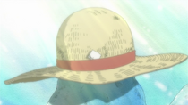 Straw Hat 3D2Y