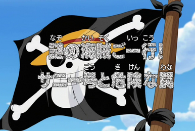 The Phoenix Pirates! (Filler) One Piece Episode 326 & 327 Reaction 
