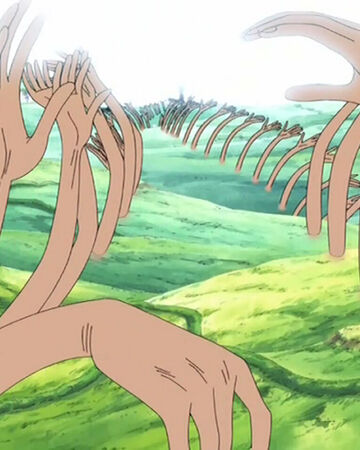 Cien Fleurs Delphinium Onepiecepedia Fandom Cien Fleurs Delphinium Onepiecepedia Fandom