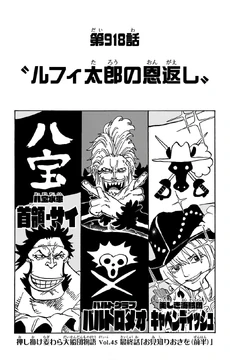 Chapter 918 | One Piece Wiki | Fandom