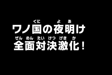One Piece, Episode 1031 Preview