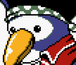 Pirate Penguin