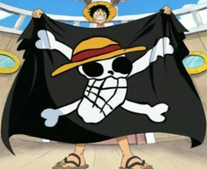 Primer Jolly Roger de Luffy
