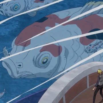 Specie Animali Saga Degli Imperatori One Piece Wiki Italia Fandom