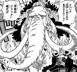 Zo Zo no Mi, modèle Mammouth | One Piece Encyclopédie | Fandom