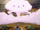 Chopperphage
