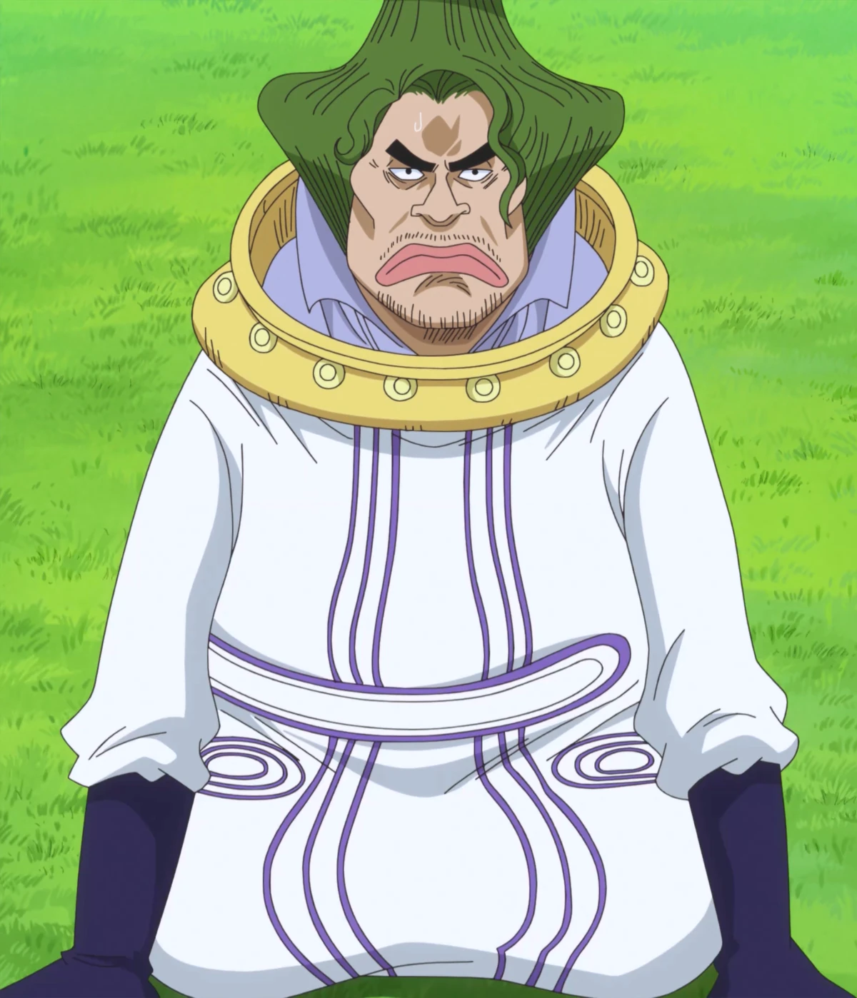 Donquixote Mjosgard One Piece Wiki Fandom