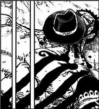 SBS90 Katakuri