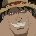 Le Chapeau De Paille One Piece Encyclopedie Fandom