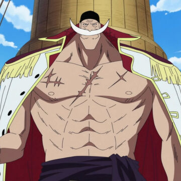 Edward Newgate Onepiecepedia Fandom