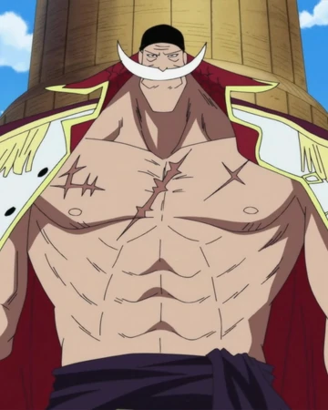 Edward Newgate Onepiecepedia Fandom