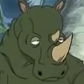 Saikangaroo portrait
