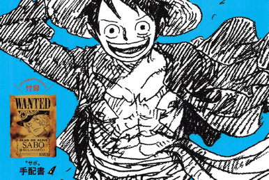 One Piece Magazine Vol.1 | One Piece Wiki | Fandom