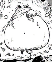 Volume 84 One Piece Wiki Fandom