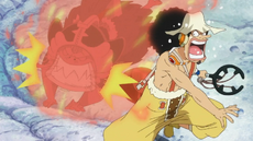 Daruma One Piece Wiki Fandom