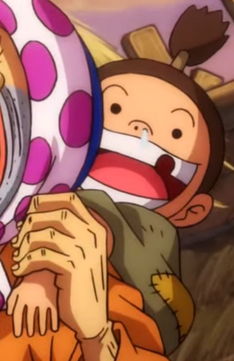 Han One Piece Wiki Fandom