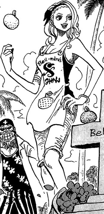 Who is Nojiko in One Piece?