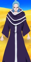Nefertari Vivi One Piece Wiki Fandom