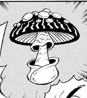Otokomae Mushroom