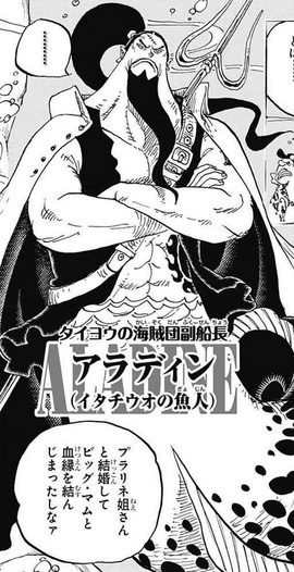Aladin One Piece Wiki Fandom