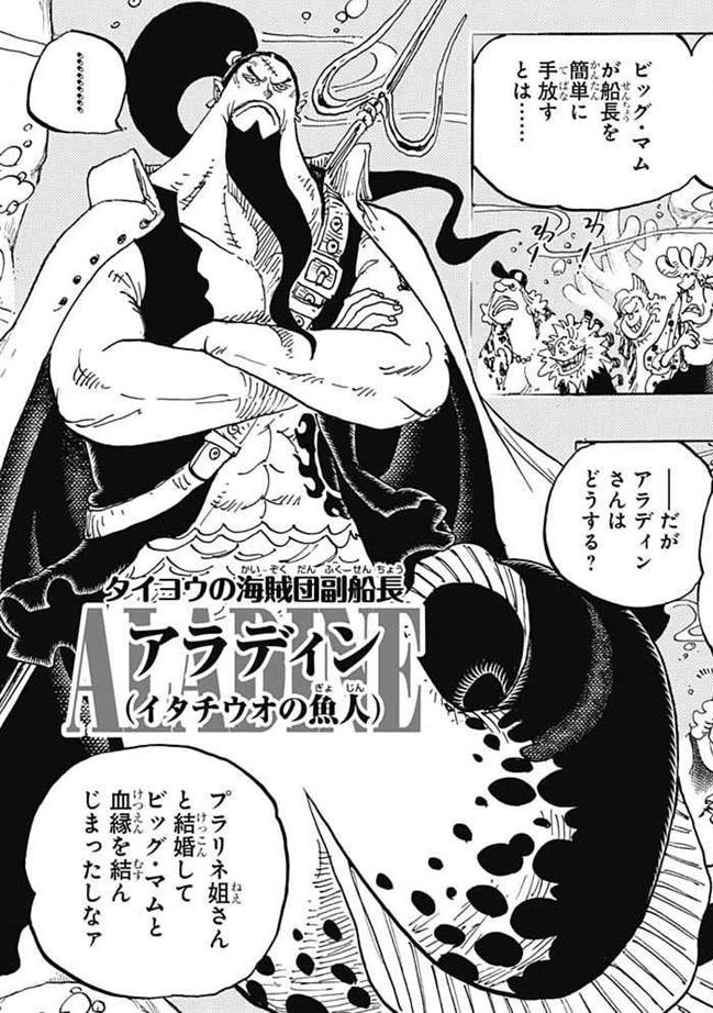 Aladine One Piece Wiki Fandom