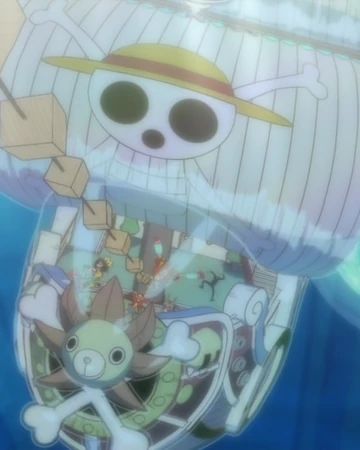 Kuuigosu One Piece Wiki Fandom