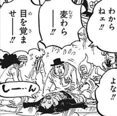 Heart Pirates One Piece Wiki Fandom