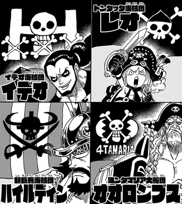 Hasır Şapkalar, One Piece Mugiwara Crew