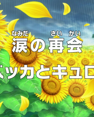 Episode 696 One Piece Wiki Fandom Episode 696 One Piece Wiki Fandom