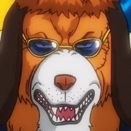 犬嵐特寫