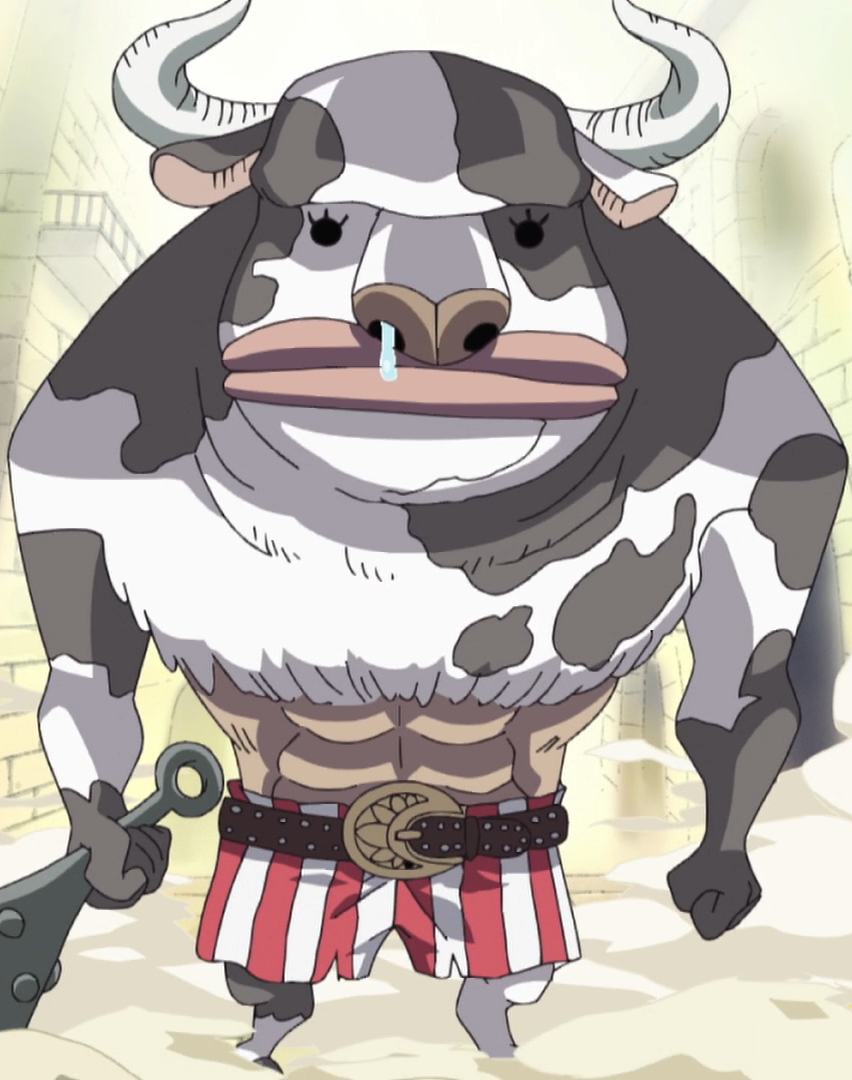 Zoan, One Piece Wiki